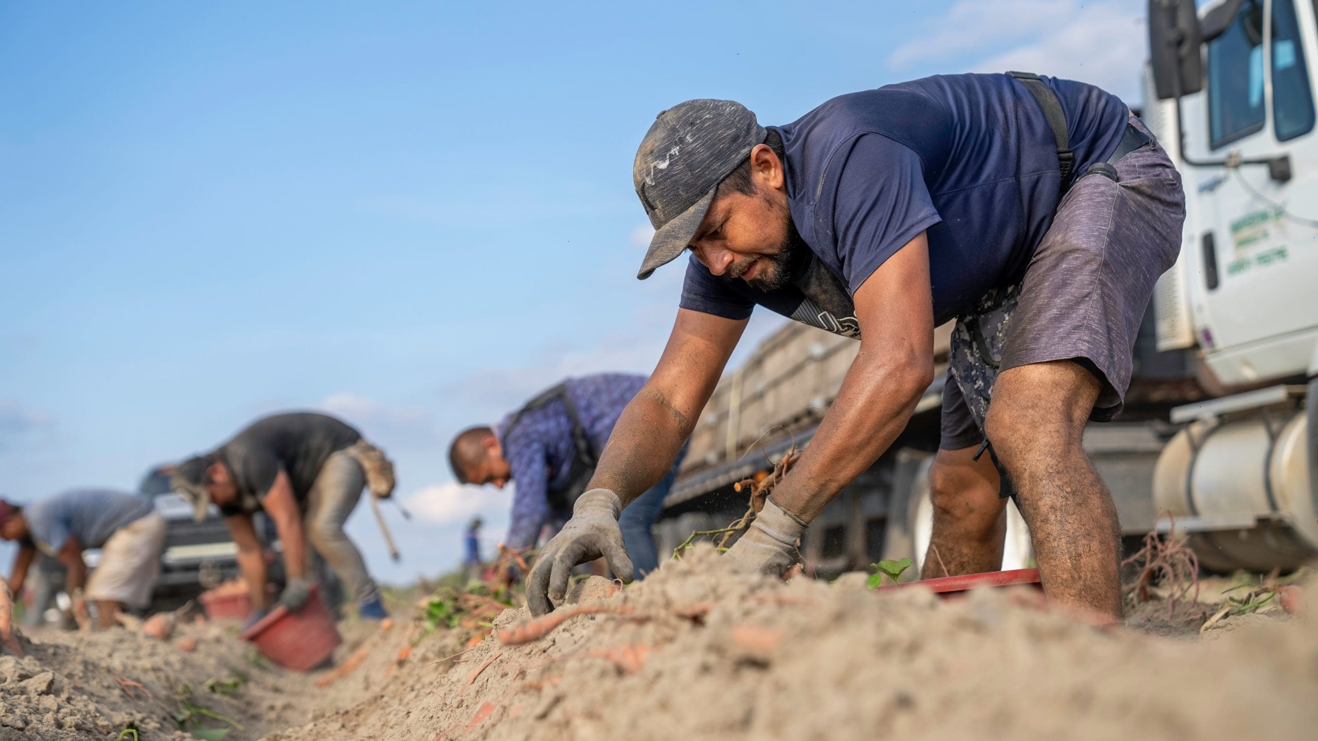 collective-bargaining-rights-for-farmworkers-national-agricultural