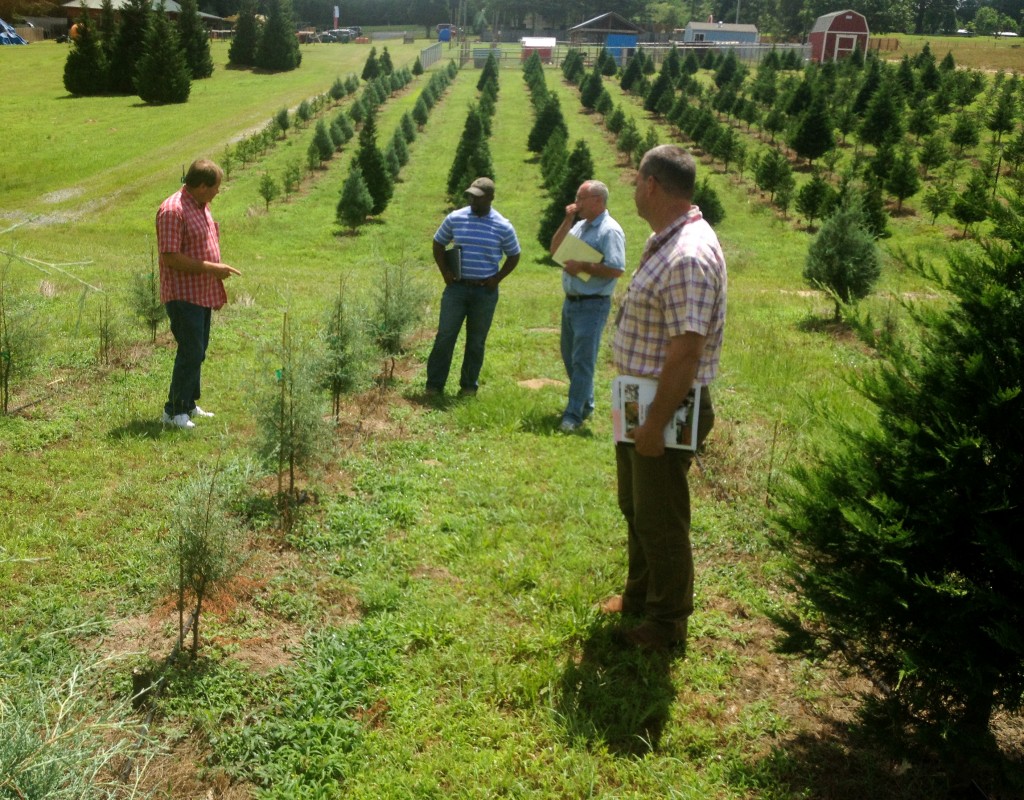 Agriculture and forestry