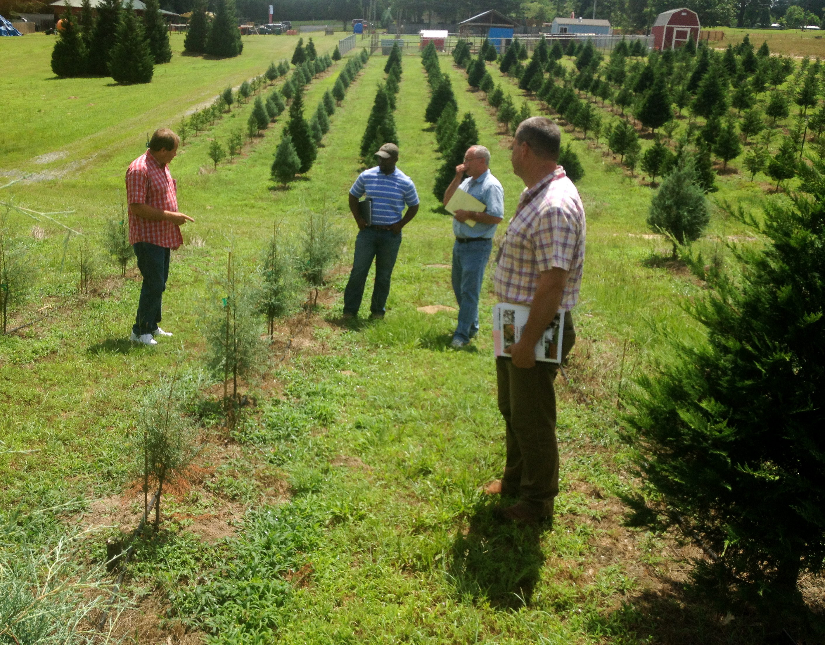 Forestry journal