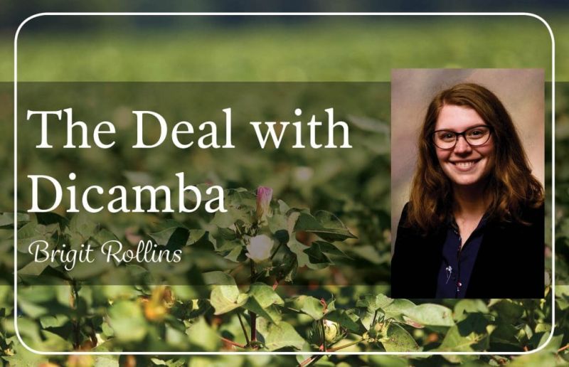 Image for the Tweet beginning: ICYMI: @EPA has once again