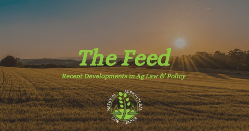 Image for the Tweet beginning: The Feed Vol. 4, Issue