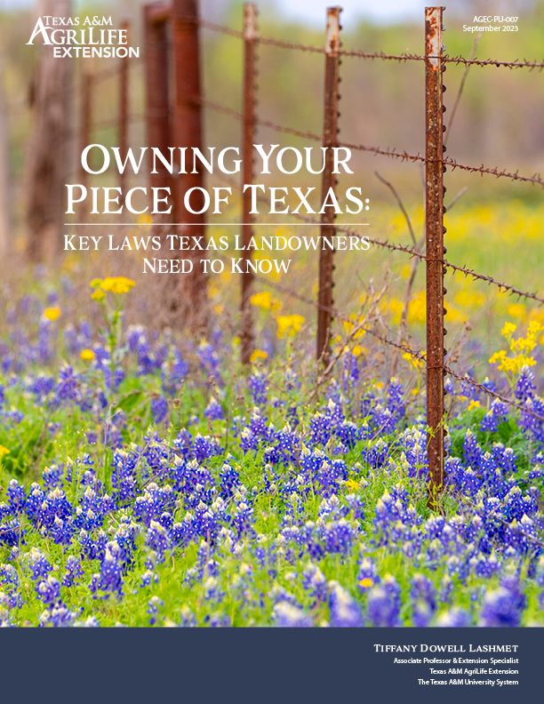 Image for the Tweet beginning: Several legal issues face Texas