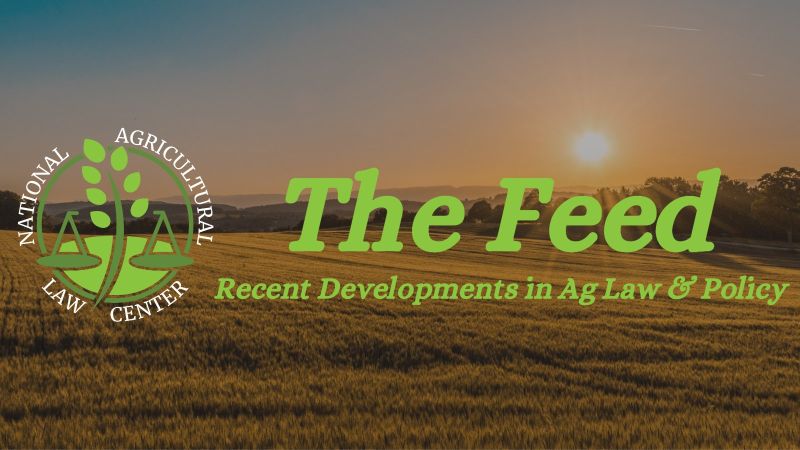 Image for the Tweet beginning: The Feed Vol. 4, Issue