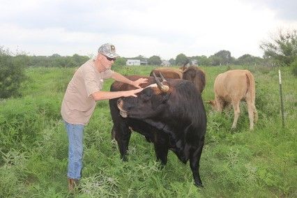Image for the Tweet beginning: American farmers value independence but